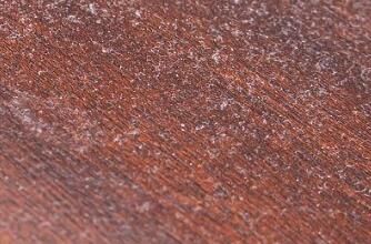 對于家里灰塵的清理，有什么方法嗎？