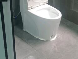 衛(wèi)生間有異味，有什么去除小技巧呢？